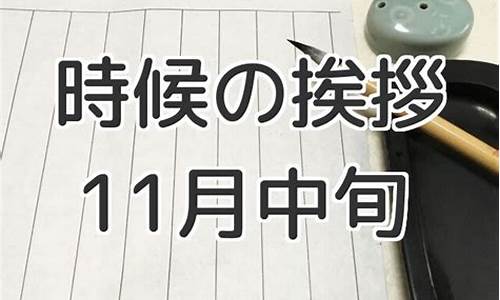 2013年11月中旬汽油油价调整最新时间_2013年石油价格